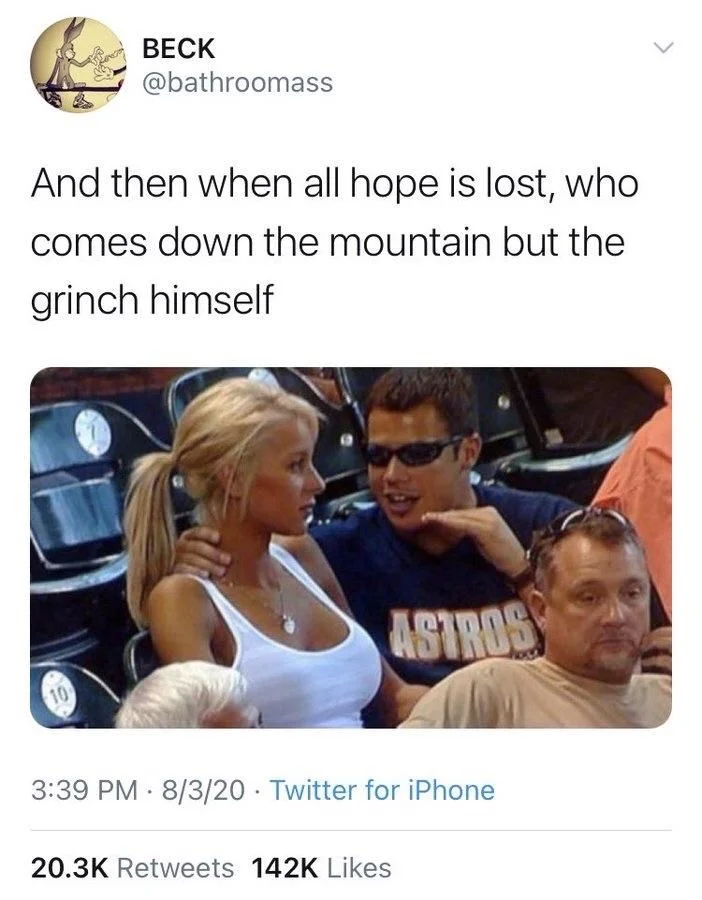 And then when all hope is lost, who comes down the mountain but the grinch himself

(photo: annoying bro excitedly explaining something to bored girl)