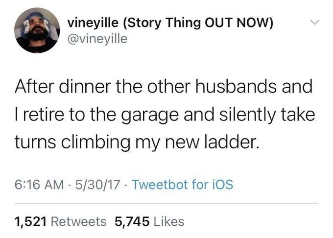 After dinner the other husbands and I retire to the garage and silently take turns climbing my new ladder.