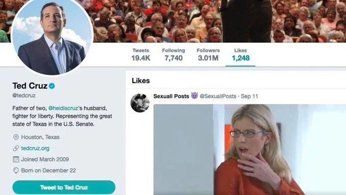 (Photo of the time Ted Cruz’s official twitter account liked a porn tweet)