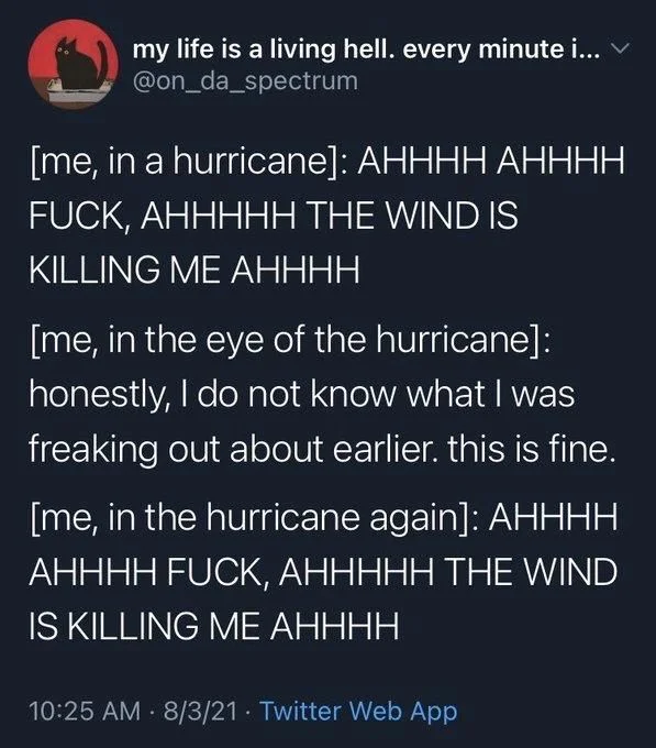 [me, in a hurricane]: AHHHH AHHHH
FUCK, AHHHHH THE WIND IS
KILLING ME AHHHH
[me, in the eye of the hurricane]: honestly, I do not know what I was freaking out about earlier. this is fine.
[me, in the hurricane again]: AHHHH AHHHH FUCK, AHHHHH THE WIND IS KILLING ME AHHHH