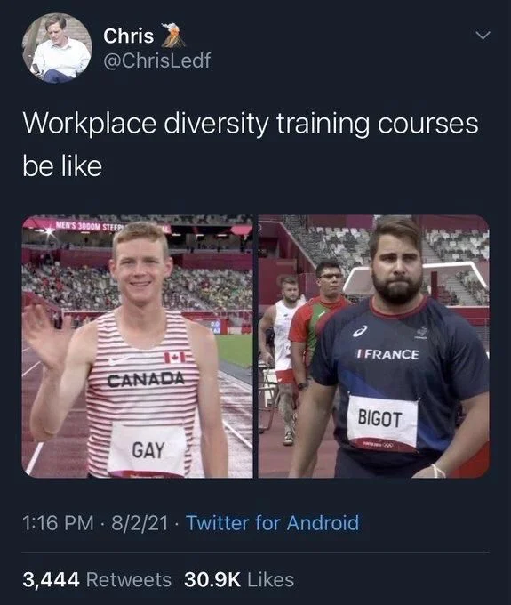 Workplace diversity training courses
be like

(photos: two athletes, named)

GAY

(and) 

BIGOT