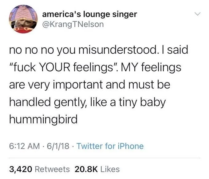 no no no you misunderstood. I said "fuck YOUR feelings". MY feelings are very important and must be handled gently, like a tiny baby hummingbird