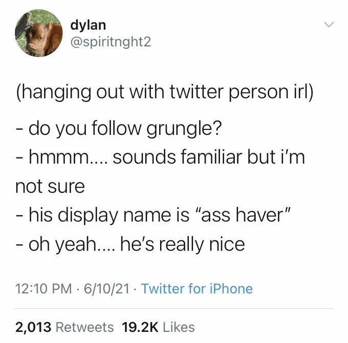 (hanging out with twitter person irl)
- do you follow grungle?
- hmmm.... sounds familiar but i'm
not sure
- his display name is "ass haver" 
- oh yeah.... he's really nice