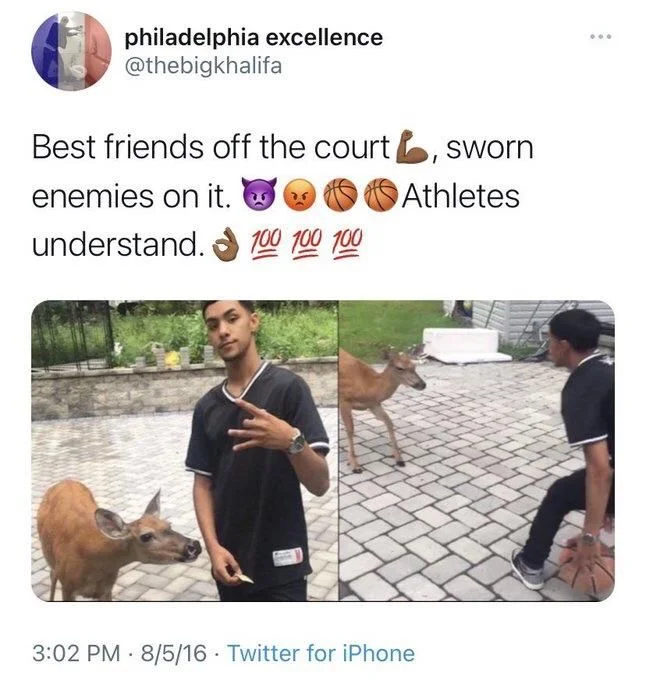Best friends off the court, sworn
enemies on it.
Athletes understand. 

(photo 1: a deer tamely approaching a young guy)

(Photo 2: the same deer appearing to aggressively guard him while he dribbles a basketball)