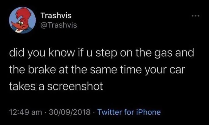 did you know if u step on the gas and the brake at the same time your car
takes a screenshot