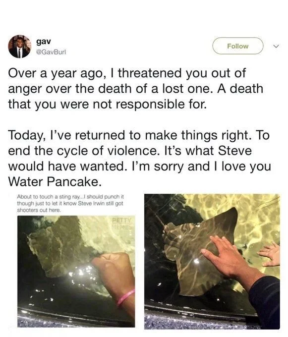 Over a year ago, I threatened you out of anger over the death of a lost one. A death that you were not responsible for.
Today, I've returned to make things right. To end the cycle of violence. It's what Steve would have wanted. I'm sorry and I love you Water Pancake.

(Screen cap of tweet with guy clutching fist at stingray that says:
About to touch a sting ray...I should punch it though just to let it know Steve Irwin still got shooters out here.

Screen cap of same guy petting stingray