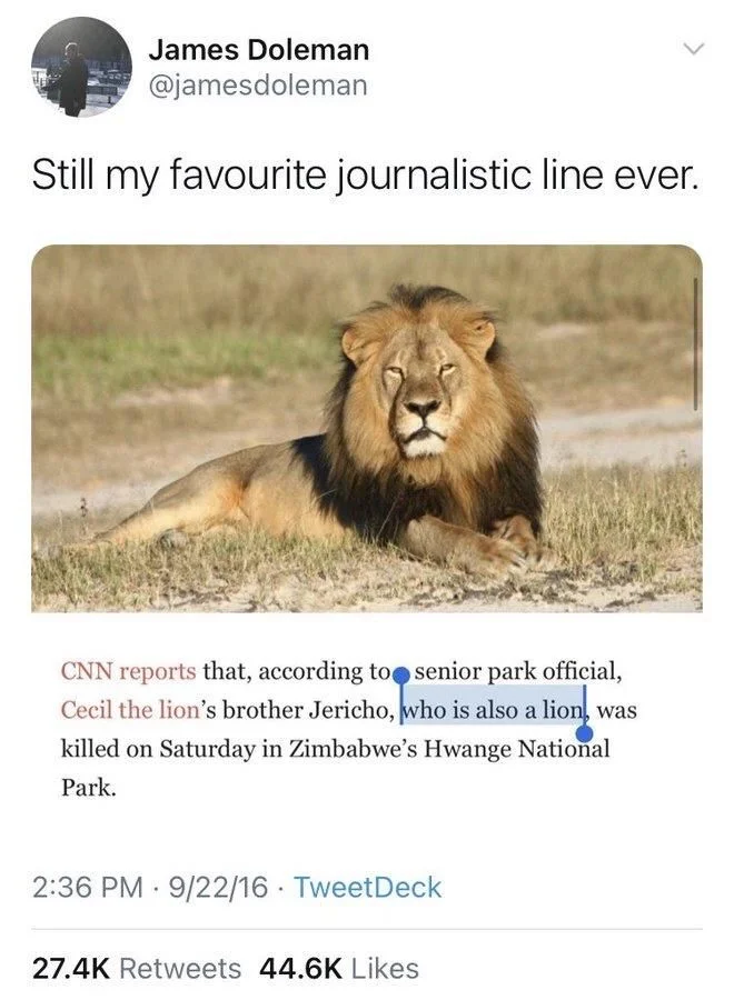 Still my favourite journalistic line ever.
CNN reports that, according to senior park official, Cecil the lion's brother Jericho, who is also a lion, was killed on Saturday in Zimbabwe's Hwange National Park.

(Photo of lion)