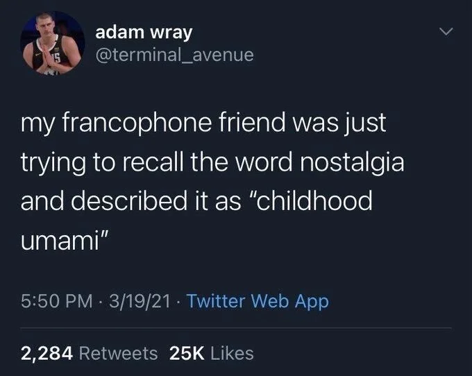 my francophone friend was just trying to recall the word nostalgia and described it as "childhood umami"