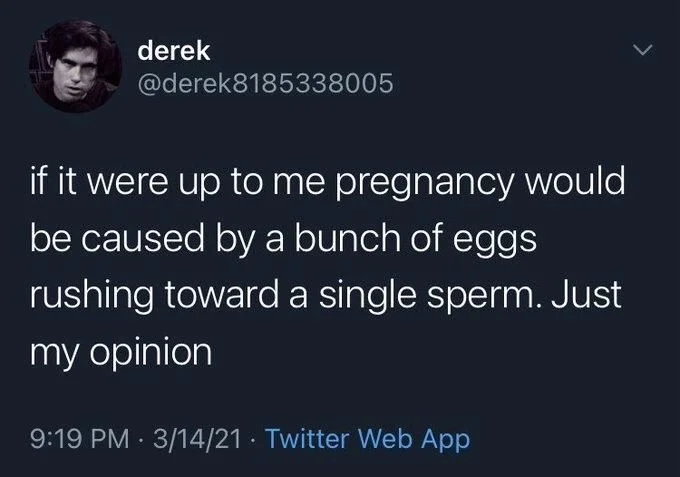 if it were up to me pregnancy would be caused by a bunch of eggs rushing toward a single sperm. Just my opinion