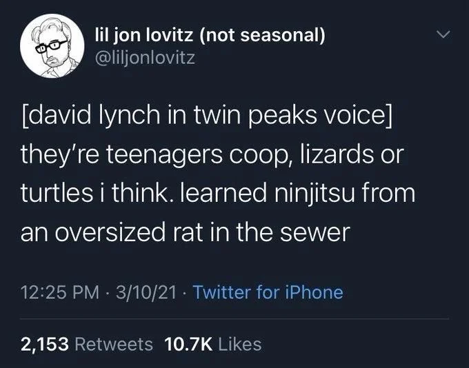 [david lynch in twin peaks voice] they're teenagers coop, lizards or turtles i think. learned ninjitsu from an oversized rat in the sewer