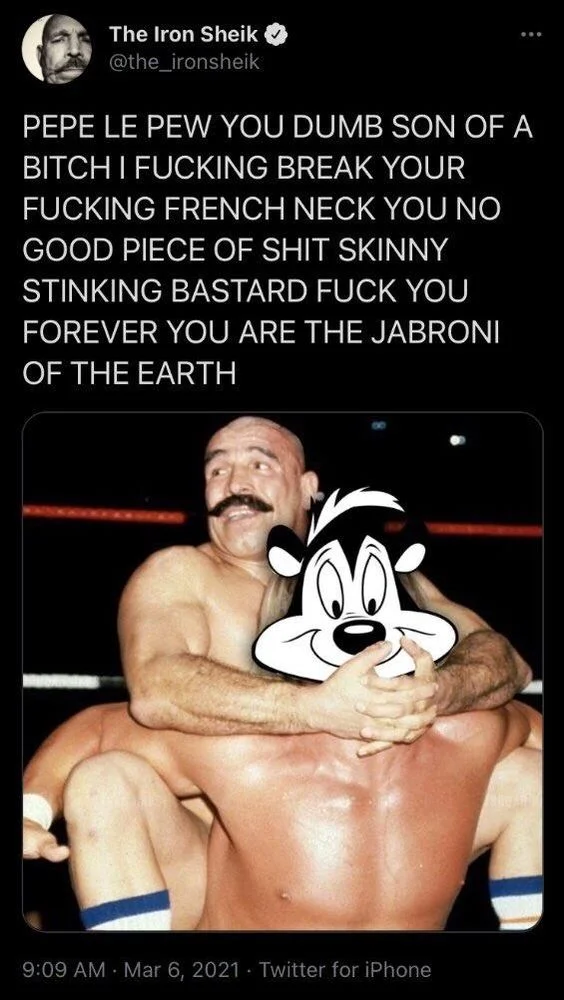 PEPE LE PEW YOU DUMB SON OF A BITCH I FUCKING BREAK YOUR FUCKING FRENCH NECK YOU NO GOOD PIECE OF SHIT SKINNY STINKING BASTARD FUCK YOU FOREVER YOU ARE THE JABRONI OF THE EARTH

(Photo of him choking Pepe le pew)