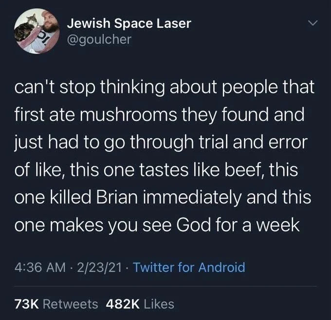 can't stop thinking about people that first ate mushrooms they found and just had to go through trial and error of like, this one tastes like beef, this one killed Brian immediately and this one makes you see God for a week