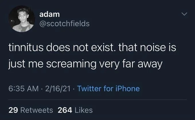 tinnitus does not exist. that noise is
just me screaming very far away