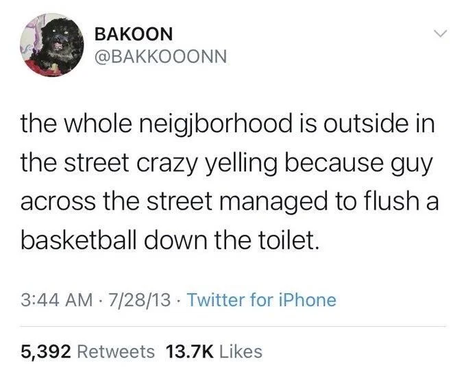 the whole neigjborhood is outside in the street crazy yelling because guy across the street managed to flush a basketball down the toilet.