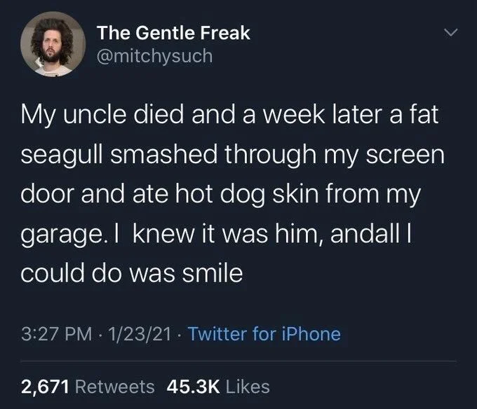 My uncle died and a week later a fat seagull smashed through my screen door and ate hot dog skin from my garage. I knew it was him, andall I could do was smile