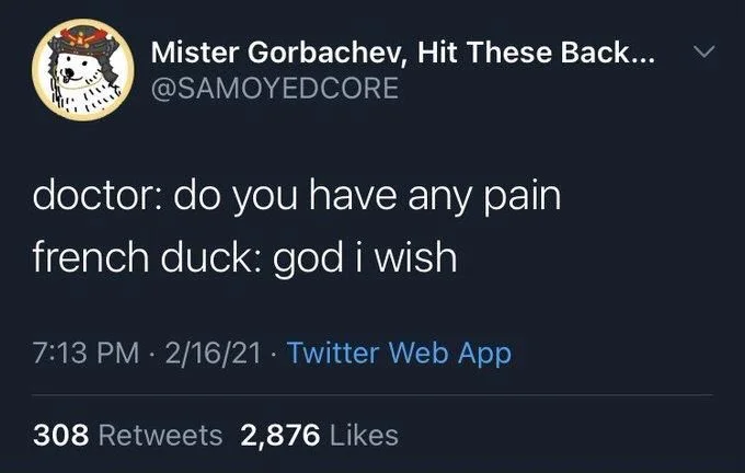 doctor: do you have any pain french duck: god i wish