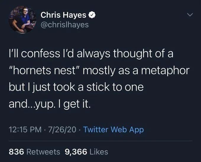 I'll confess I'd always thought of a
"hornets nest" mostly as a metaphor but I just took a stick to one
and...yup. I get it.
