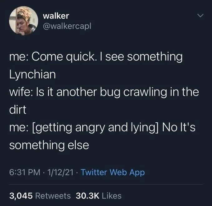 me: Come quick. I see something
Lynchian
wife: Is it another bug crawling in the dirt
me: [getting angry and lying] No It's something else