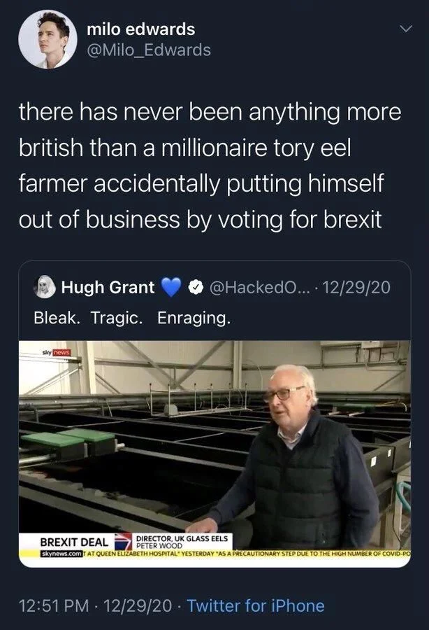 there has never been anything more british than a millionaire tory eel farmer accidentally putting himself out of business by voting for brexit



Hugh Grant
Bleak. Tragic. Enraging.
 

(Screenshot of News story about the guy)
