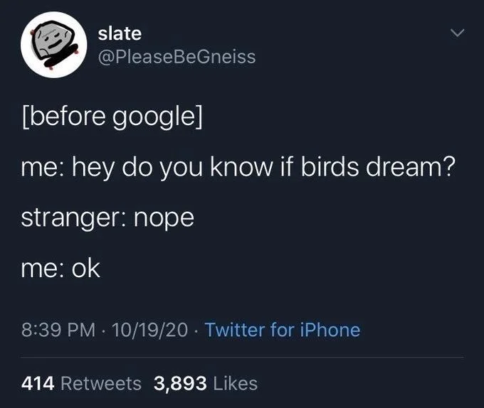 [before google]
me: hey do you know if birds dream?
stranger: nope
me: ok