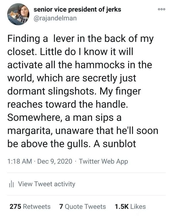 Finding a lever in the back of my closet. Little do I know it will activate all the hammocks in the world, which are secretly just dormant slingshots. My finger reaches toward the handle. Somewhere, a man sips a margarita, unaware that he'll soon be above the gulls. A sunblot