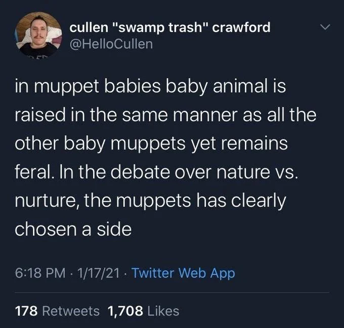 in muppet babies baby animal is raised in the same manner as all the other baby muppets yet remains
feral. In the debate over nature vs. nurture, the muppets has clearly chosen a side