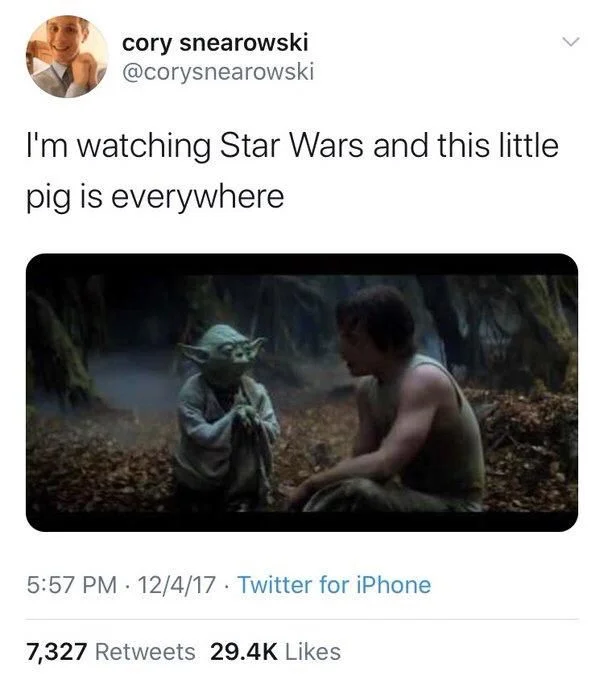 I'm watching Star Wars and this little pig is everywhere

(Photo of Yoda)