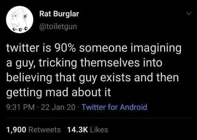 twitter is 90% someone imagining a guy, tricking themselves into believing that guy exists and then getting mad about it