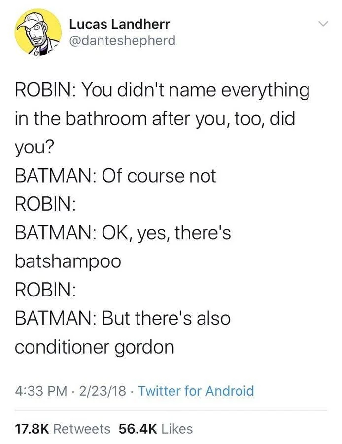 ROBIN: You didn't name everything in the bathroom after you, too, did
you?
BATMAN: Of course not
ROBIN:
BATMAN: OK, yes, there's
batshampoo
ROBIN:
BATMAN: But there's also
conditioner gordon