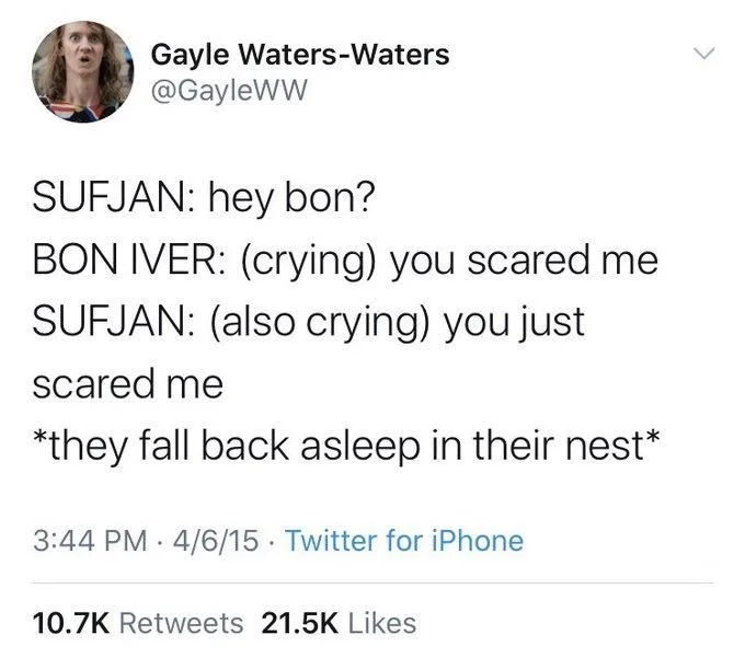 SUFJAN: hey bon?
BON IVER: (crying) you scared me SUFJAN: (also crying) you just
scared me
*they fall back asleep in their nest*