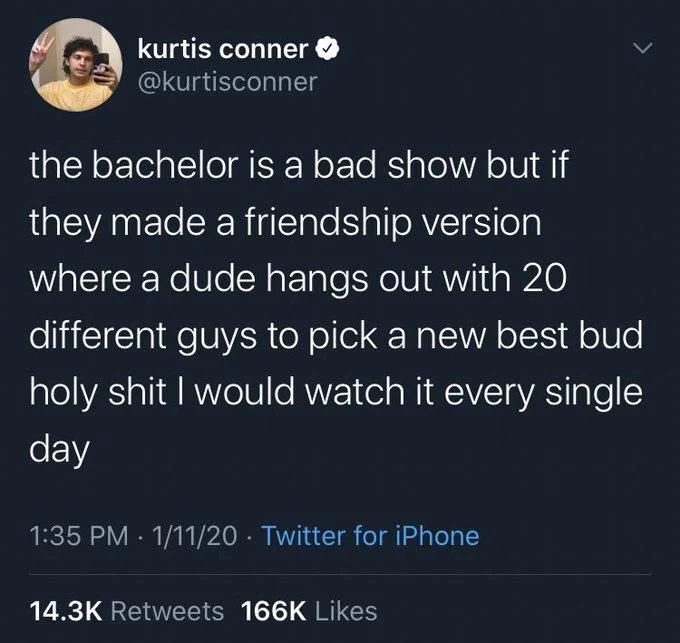 the bachelor is a bad show but if they made a friendship version where a dude hangs out with 20 different guys to pick a new best bud holy shit I would watch it every single day