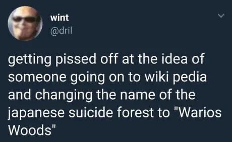 getting pissed off at the idea of someone going on to wiki pedia and changing the name of the japanese suicide forest to "Warios Woods"