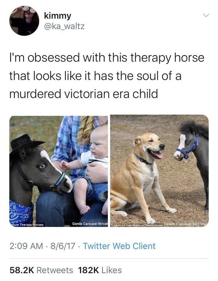 I'm obsessed with this therapy horse that looks like it has the soul of a
murdered victorian era child

(a very haunted looking horse)
