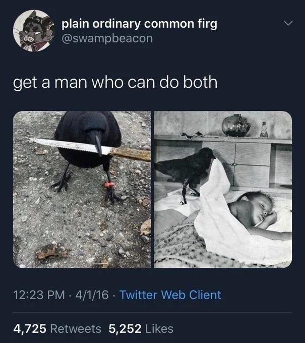 get a man who can do both

(Crow brandishing knife, crow tucking in sleeping child)