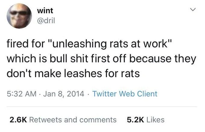 fired for "unleashing rats at work" which is bull shit first off because they don't make leashes for rats