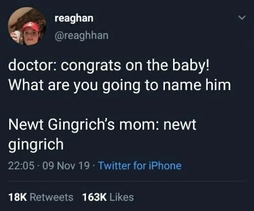 doctor: congrats on the baby! What are you going to name him
Newt Gingrich's mom: newt gingrich