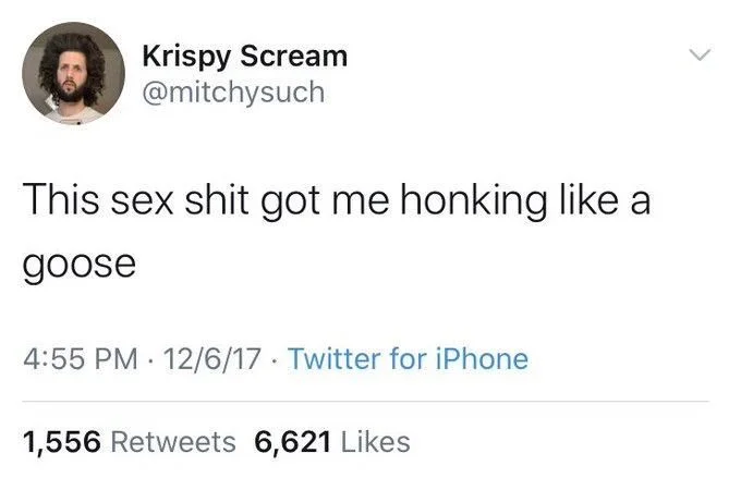 This sex shit got me honking like a
goose