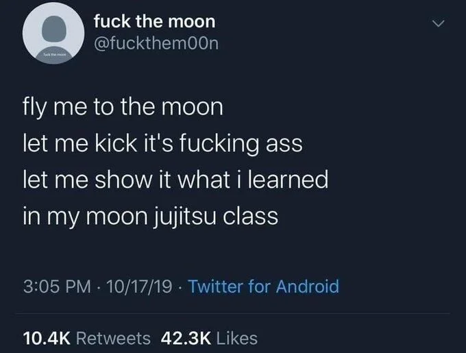 fly me to the moon
let me kick it's fucking ass let me show it what i learned in my moon jujitsu class