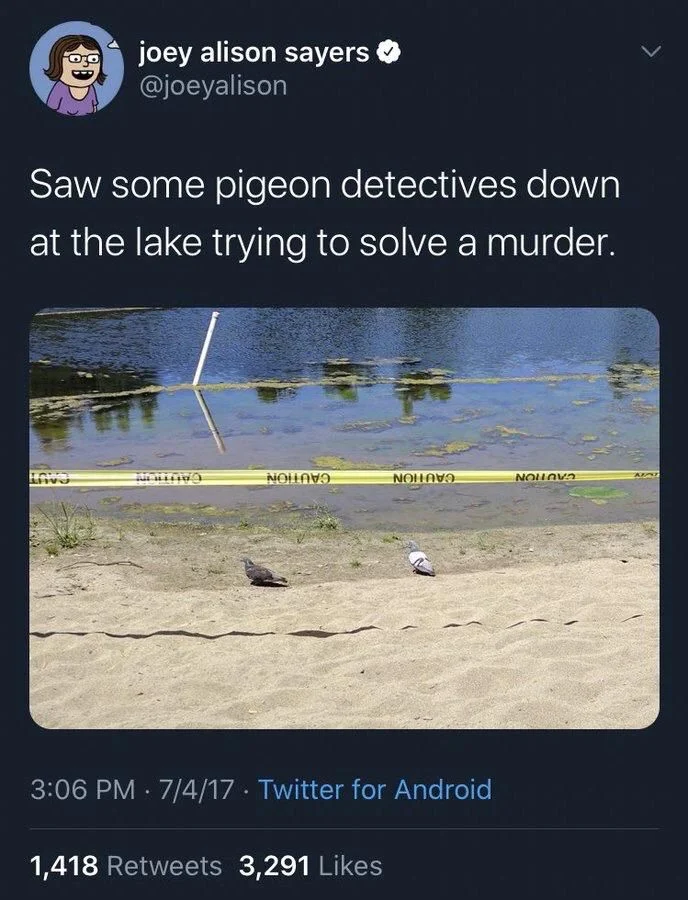 Saw some pigeon detectives down at the lake trying to solve a murder.

(Pigeons walking around behind crime scene tape)