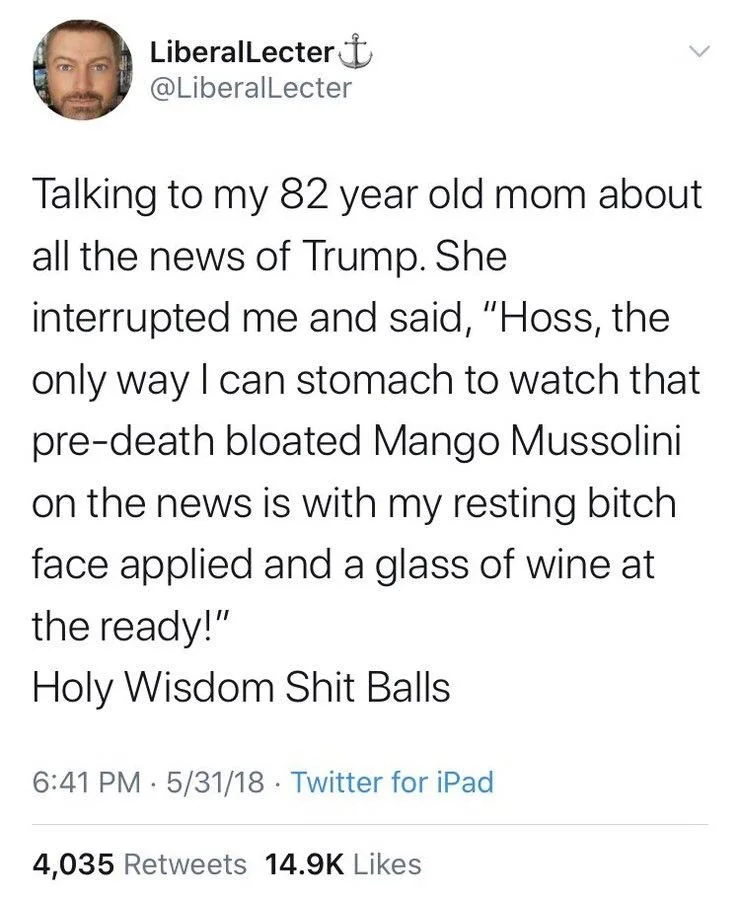 Talking to my 82 year old mom about all the news of Trump. She interrupted me and said, "Hoss, the only way I can stomach to watch that pre-death bloated Mango Mussolini on the news is with my resting bitch. face applied and a glass of wine at the ready!"
Holy Wisdom Shit Balls