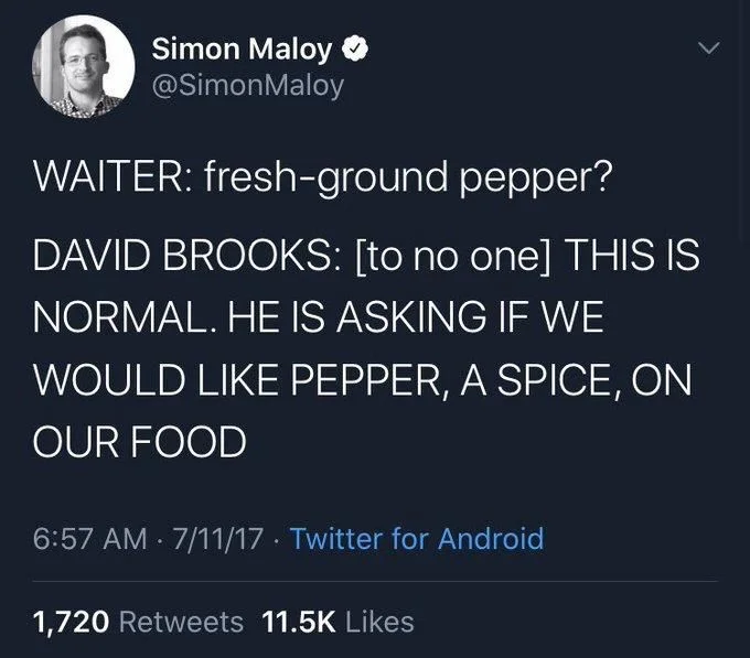 WAITER: fresh-ground pepper?
DAVID BROOKS: [to no one] THIS IS NORMAL. HE IS ASKING IF WE
WOULD LIKE PEPPER, A SPICE, ON
OUR FOOD