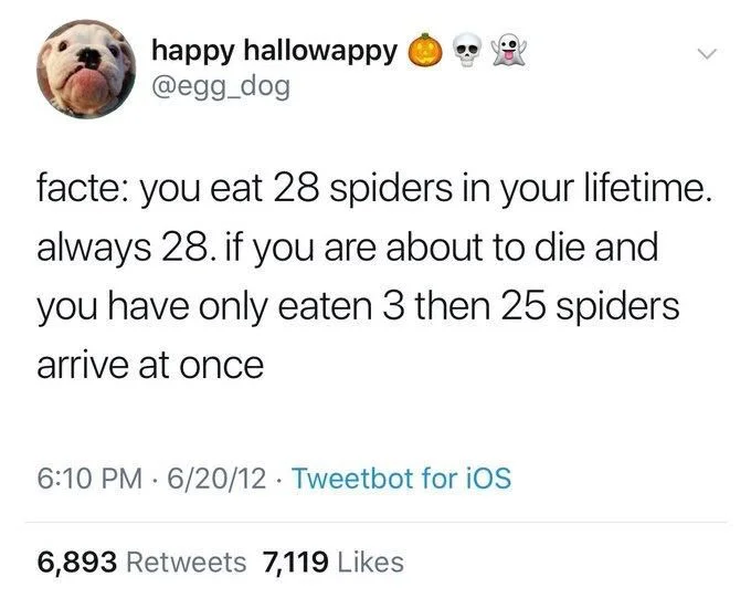 facte: you eat 28 spiders in your lifetime. always 28. if you are about to die and you have only eaten 3 then 25 spiders
arrive at once