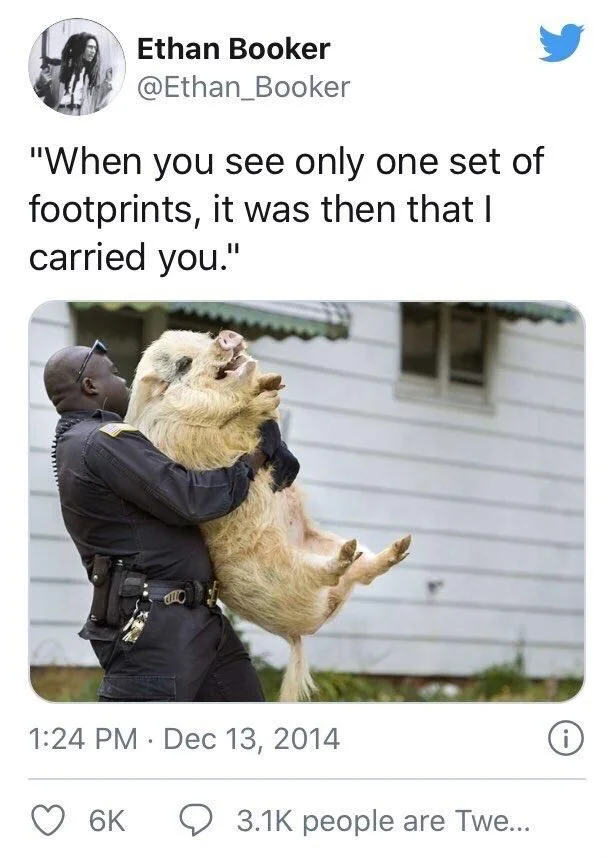 "When you see only one set of footprints, it was then that I carried you."

(Police officer Carrying squealing hog)