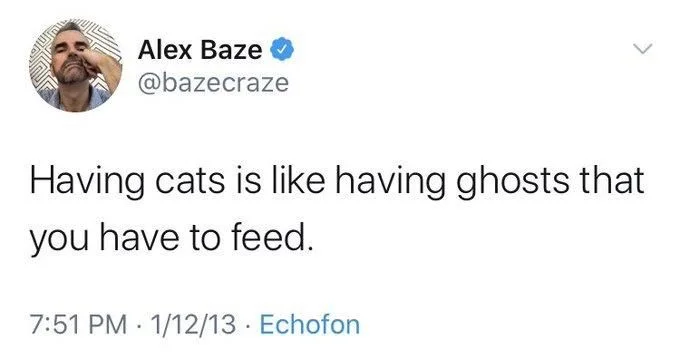 Having cats is like having ghosts that you have to feed.