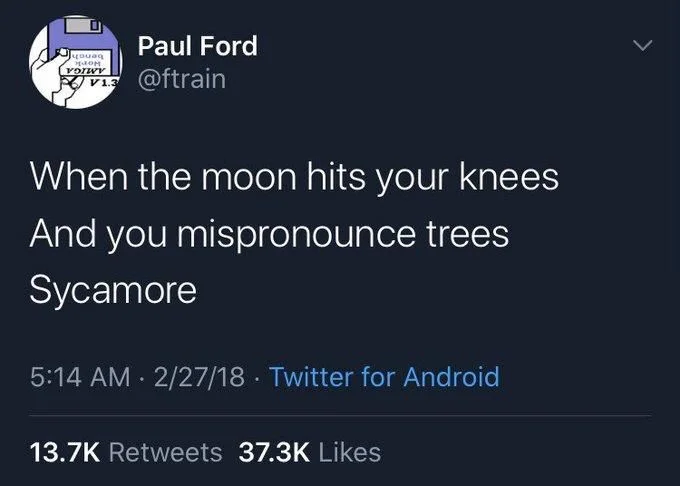 When the moon hits your knees And you mispronounce trees
Sycamore