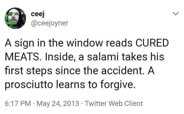 A sign in the window reads CURED MEATS. Inside, a salami takes his first steps since the accident. A prosciutto learns to forgive.