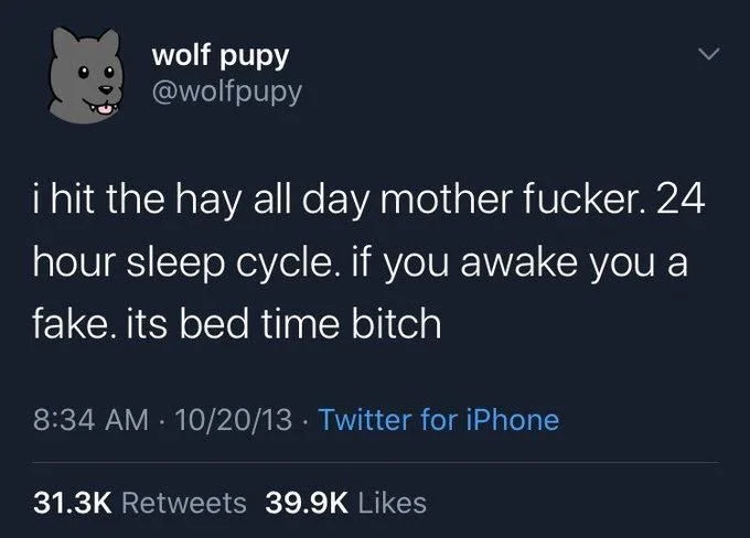 i hit the hay all day mother fucker. 24 hour sleep cycle. if you awake you a fake. its bed time bitch