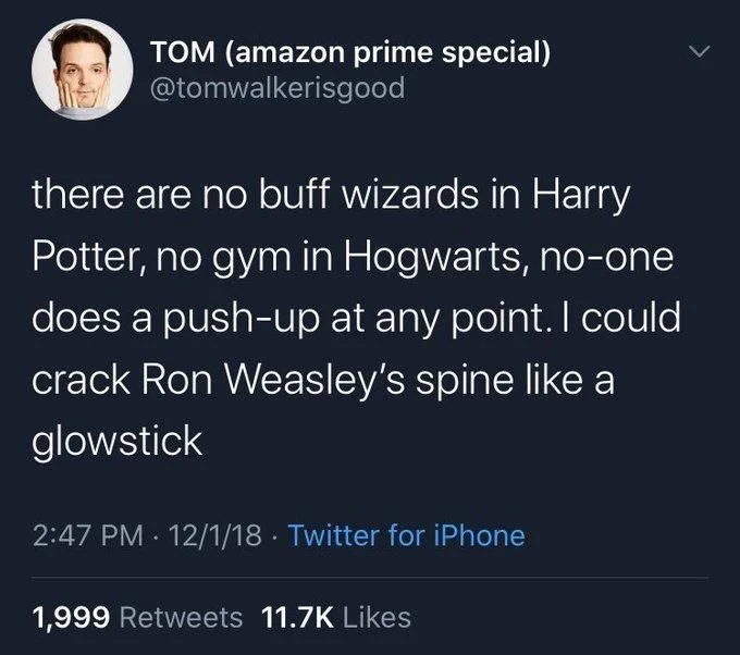 there are no buff wizards in Harry Potter, no gym in Hogwarts, no-one does a push-up at any point. I could crack Ron Weasley's spine like a glowstick