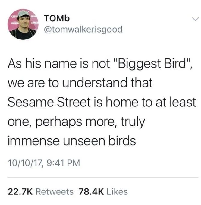 as his name is not biggest bird we are to understand that Sesame Street is home to at least one perhaps more truly immense unseen birds