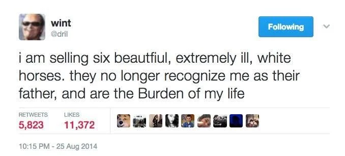 I am selling six beautiful extremely ill white horses. They no longer recognize me as their father and or the burden of my life